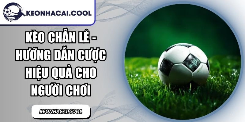 Kèo Chẵn Lẻ - Hướng Dẫn Cược Hiệu Quả Cho Người Chơi 9 Kèo Chẵn Lẻ