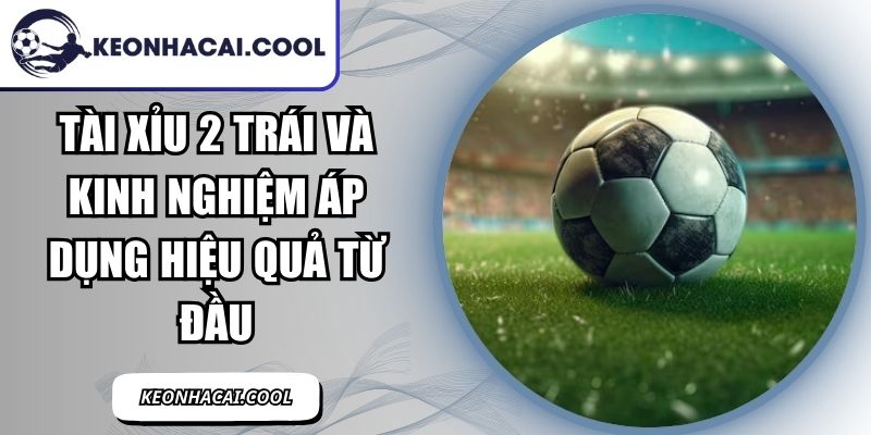 Tài Xỉu 2 Trái Và Kinh Nghiệm Áp Dụng Hiệu Quả Từ Đầu 10 Tài Xỉu 2 Trái
