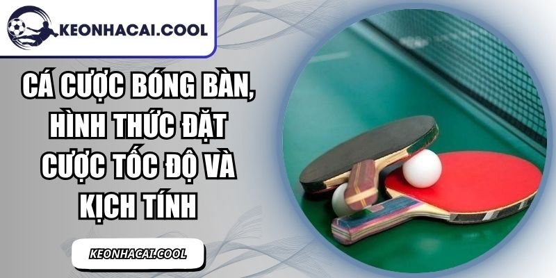 Cá Cược Bóng Bàn, Hình Thức Đặt Cược Tốc Độ Và Kịch Tính 1 Cá Cược Bóng Bàn