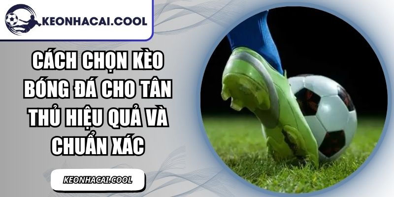 Cách Chọn Kèo Bóng Đá Cho Tân Thủ Hiệu Quả Và Chuẩn Xác 4 Cách Chọn Kèo Bóng Đá