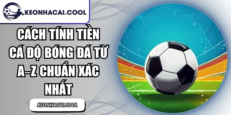 Cách Tính Tiền Cá Độ Bóng Đá Từ A–Z Chuẩn Xác Nhất 10 Cách Tính Tiền Cá Độ Bóng Đá