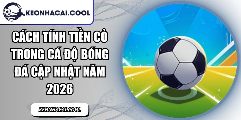 Cách Tính Tiền Cỏ Trong Cá Độ Bóng Đá Cập Nhật Năm 2026 9 Cách Tính Tiền Cỏ Trong Cá Độ Bóng Đá