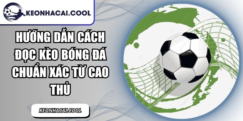 Hướng Dẫn Cách Đọc Kèo Bóng Đá Chuẩn Xác Từ Cao Thủ 5 Hướng Dẫn Cách Đọc Kèo Bóng Đá