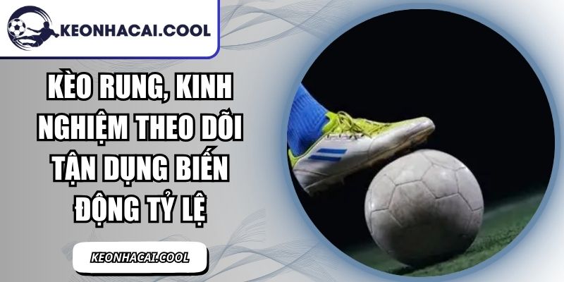 Kèo Rung, Kinh Nghiệm Theo Dõi Tận Dụng Biến Động Tỷ Lệ 3 Kèo Rung
