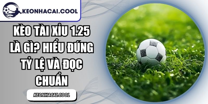 Kèo Tài Xỉu 1.25 Là Gì? Hiểu Đúng Tỷ Lệ Và Đọc Chuẩn 2 Kèo Tài Xỉu 1.25 Là Gì