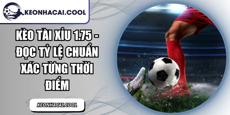 Kèo Tài Xỉu 1.75 - Đọc Tỷ Lệ Chuẩn Xác Từng Thời Điểm 9 Kèo Tài Xỉu 1.75