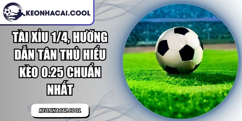 Tài Xỉu 1/4, Hướng Dẫn Tân Thủ Hiểu Kèo 0.25 Chuẩn Nhất 7 Tài Xỉu 1/4