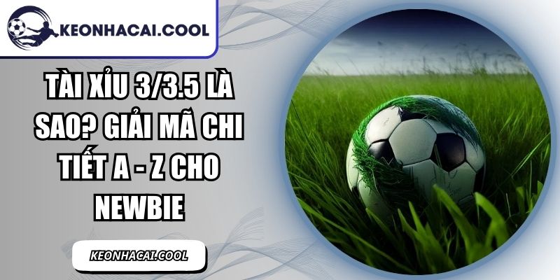 Tài Xỉu 3/3.5 Là Sao? Giải Mã Chi Tiết A - Z Cho Newbie 1 Tài Xỉu 3/3.5 Là Sao